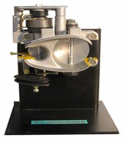 節(jié)氣門控制元件解剖模型